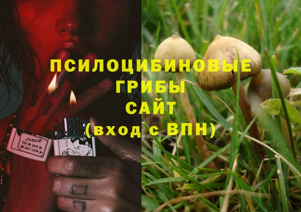 трава Алексин