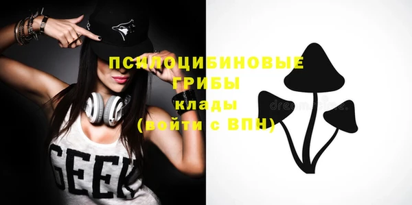MDMA Premium VHQ Ельня