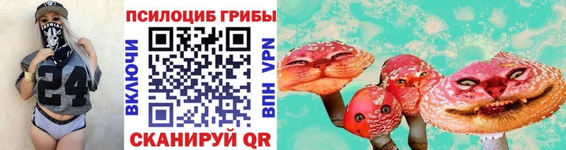 где найти   Кореновск  Псилоцибиновые грибы MAGIC MUSHROOMS 