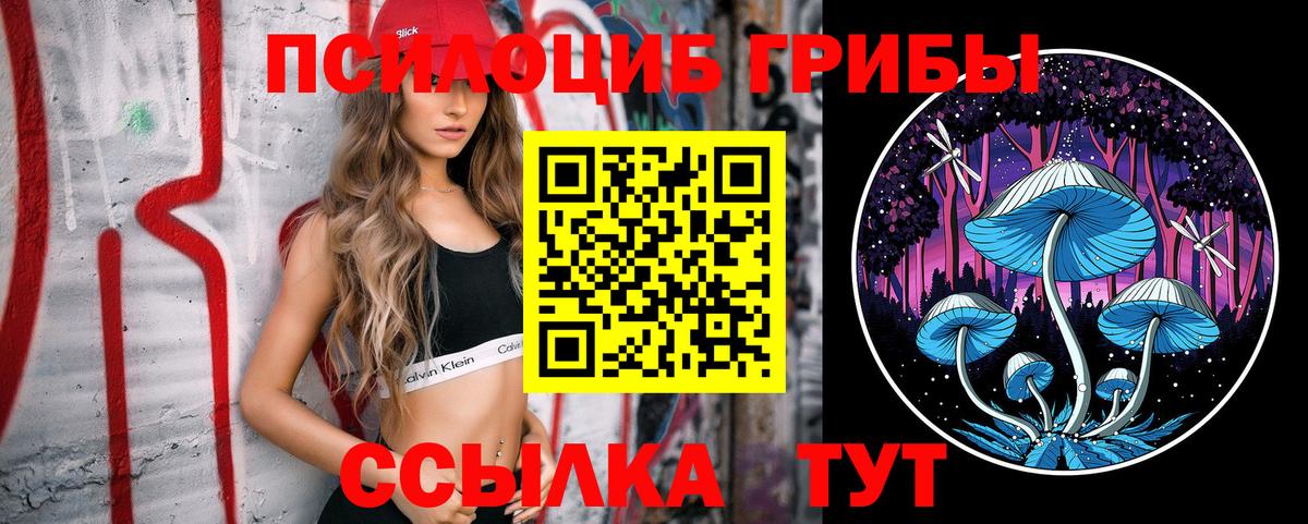 Галлюциногенные грибы Cubensis Кореновск